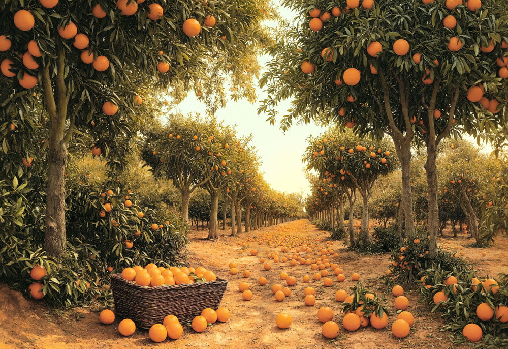 Backdrop "Tangerine Garden"