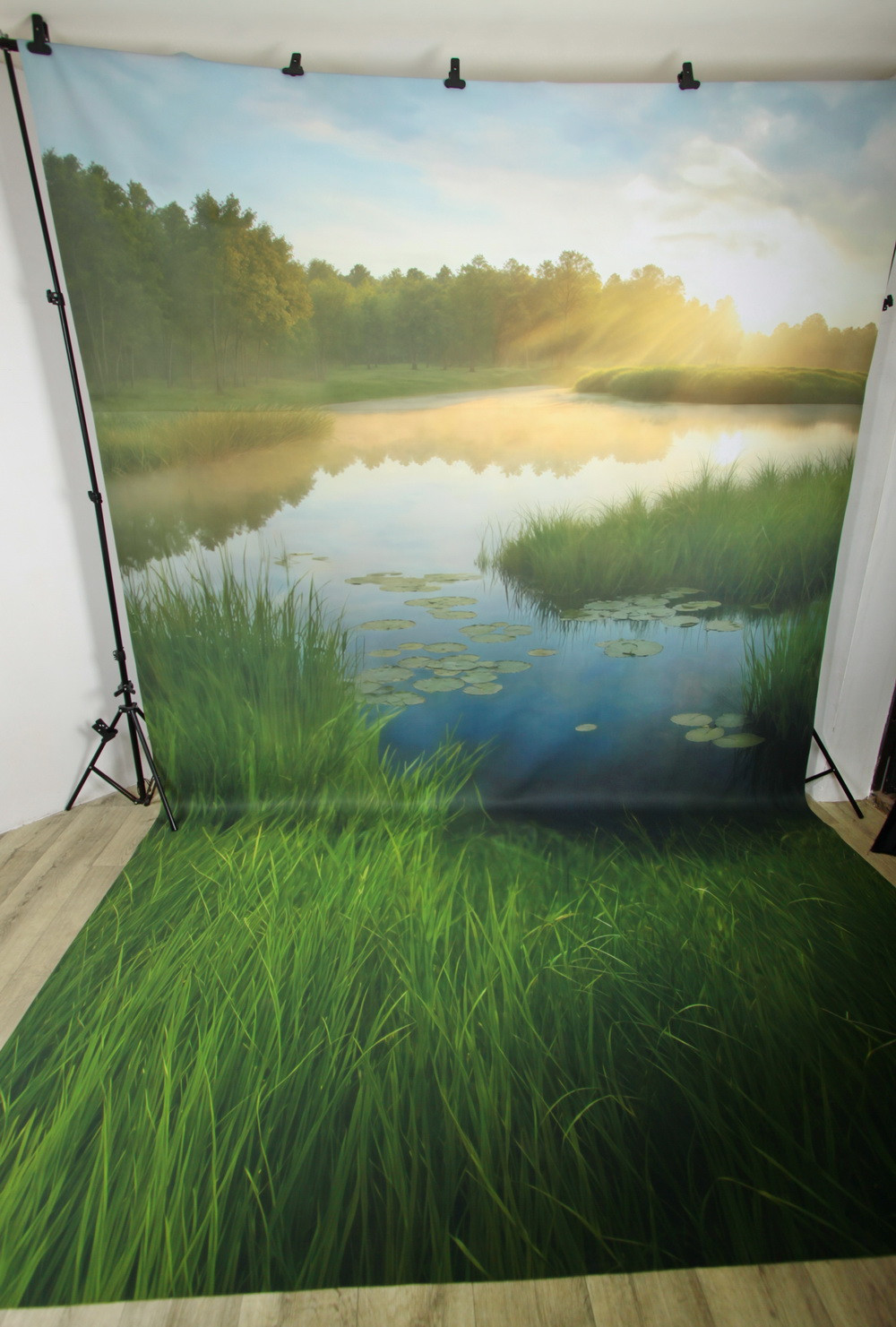 Нейрофотофон "Болотинка" 2.0 стена/пол