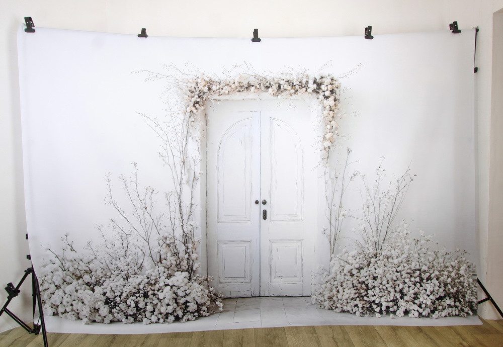 Нейрофотофон "Белая дверь с сухоцветами"