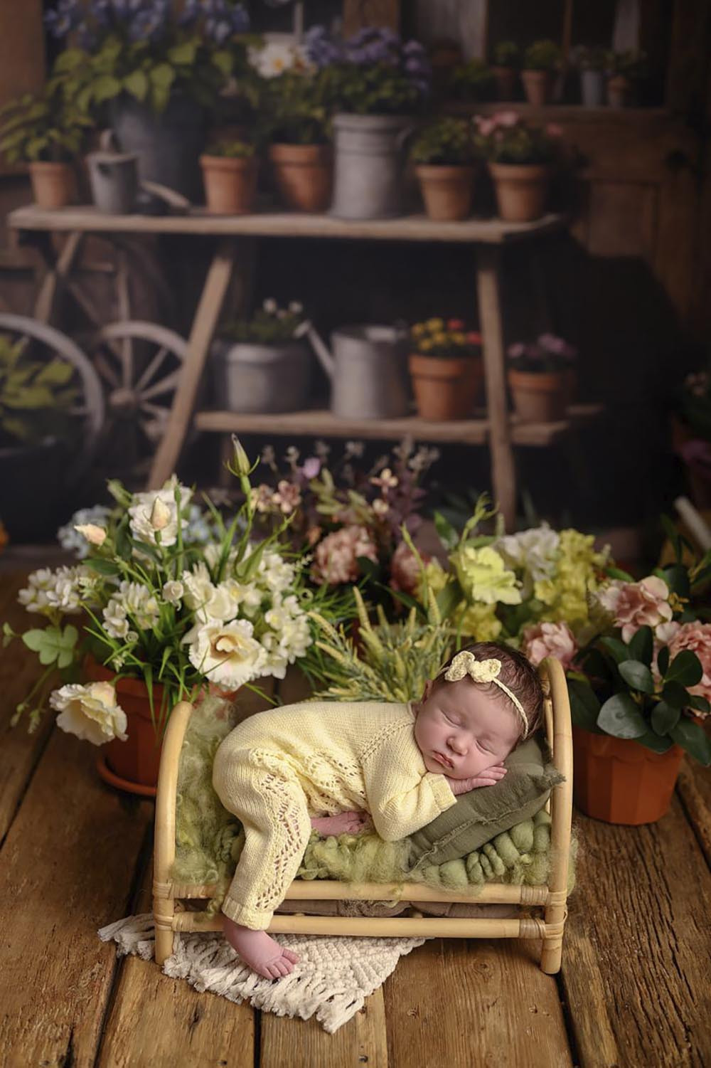 Combined backdrop "Grandma shed"