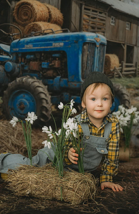 Combined backdrop "Spring on the farm var.2"
